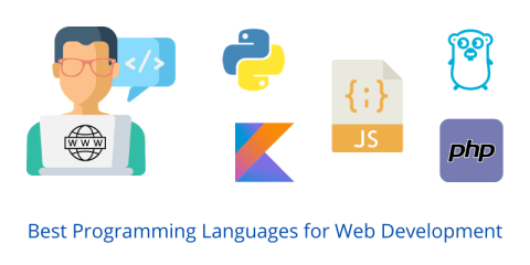 Best programming language for web development